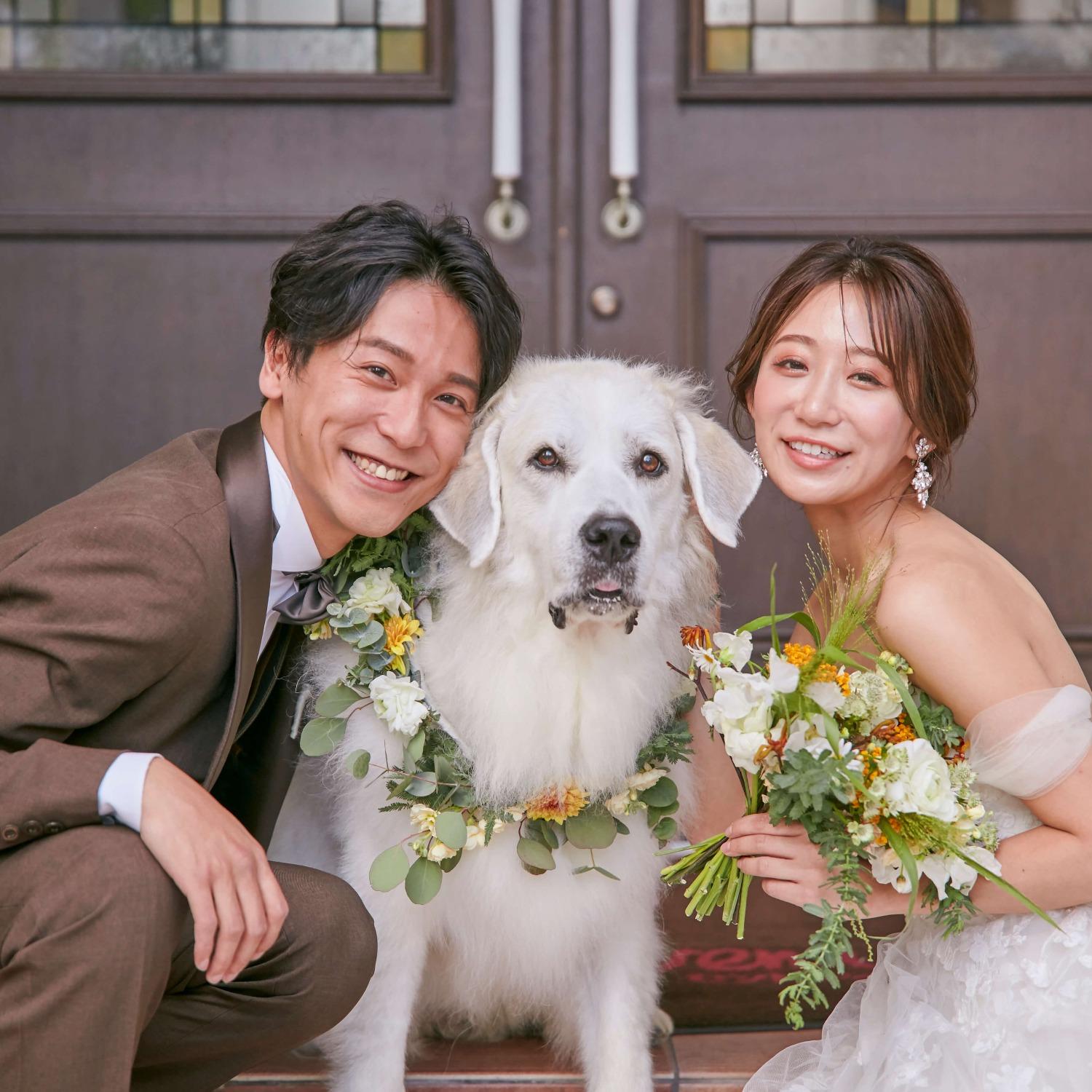 二条城チャペル セント アベニールで結婚式 結婚式場探しはハナユメ