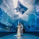 【VR体験◆水族館チケット付】大人気の水族館ウエディング相談会