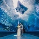 【VR体験◆水族館チケット付】大人気の水族館ウエディング相談会