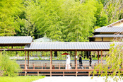 ≪初見学の方におすすめ≫カウンセリングから始める和婚相談会