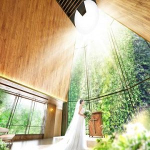 アルモニーソルーナ表参道で結婚式 結婚式場探しはハナユメ アルモニーソルーナ表参道で結婚式 結婚式場探しはハナユメ