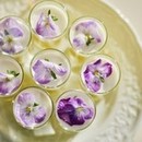 【平日限定】ホテル美食体験×見積もり相談フェア