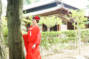 短期間でもOK!神社挙式×文化財ウェディングがわかる安心フェア