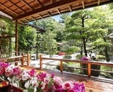 ◆◇◆◇◆イチオシフェア◆◇◆◇◆不定期開催の和婚ブライダルフェア!
