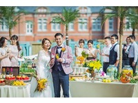 2019年6-8月限定