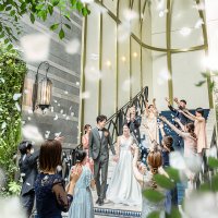 【2019年6月までの限定ハナユメ割】
