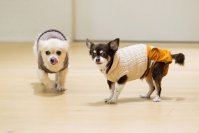 【マタニティ限定】らくらく準備ハナユメ割