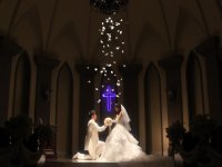 【ご予算重視】お急ぎ婚ハナユメ割