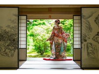 【HANAYUME】SAKURASAKU