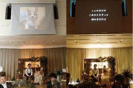 天国の愛犬も一緒に「僕のワンダフルウェディング」の演出画像