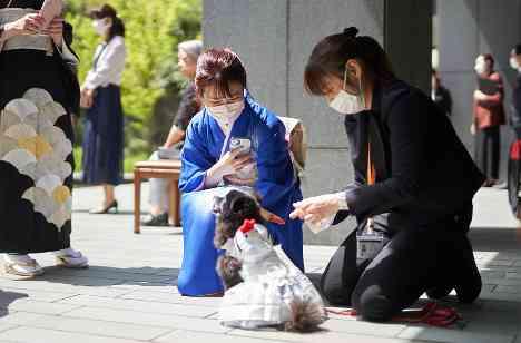 大好きな愛犬と一緒に祝うウェディングの演出画像