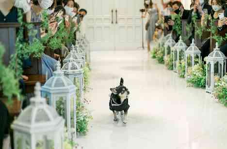 ゲスト参加型結婚式アットホームウェディングの挙式画像
