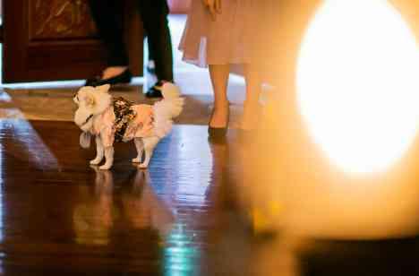 お二人と大切なご家族様との温かいご結婚式の挙式画像