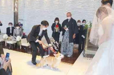 ♡大好きを詰め込んだWEDDING♡の準備・打ち合わせ画像