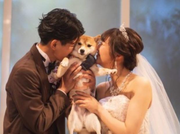 陽だまり～Let's smile wedding～の挙式実例画像