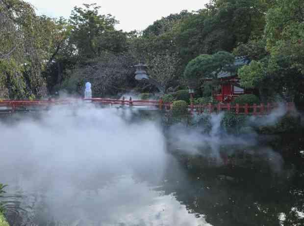 ご家族だけでの三島大社で挙げる神社式の挙式実例画像
