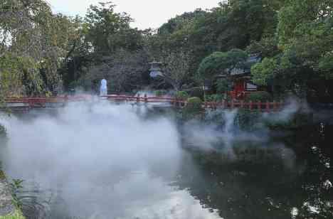 ご家族だけでの三島大社で挙げる神社式の挙式画像