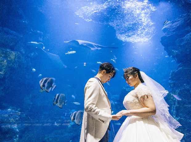 京都水族館で幻想的でロマンティックなウェディングの挙式実例画像