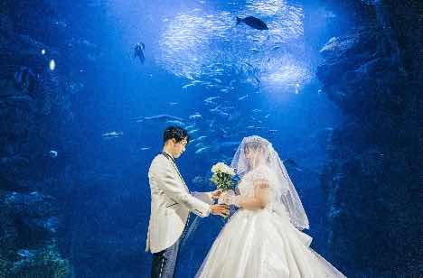 京都水族館で幻想的でロマンティックなウェディングの挙式画像