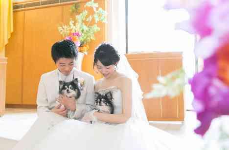 大切な家族「みんな」と一緒の結婚式をの準備・打ち合わせ画像