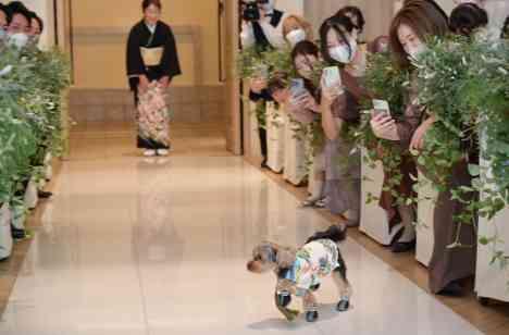アクティブなふたりが愛犬と叶えたラフ&リラックス婚の挙式画像