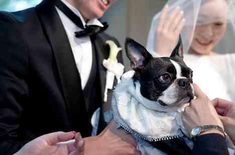 大切な愛犬とともにオンリー“ワン”ウエディング
の挙式画像