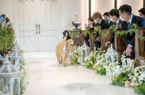 ゲストと一緒に創るアットホームWedding♡の挙式画像