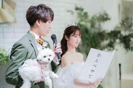 愛犬と3人で見た同じ景色が一生のタカラモノの準備・打ち合わせ画像