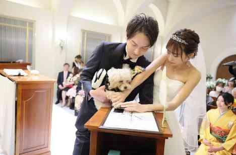 ワンちゃんと一緒のSpring Weddingの準備・打ち合わせ画像