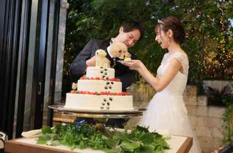 ワンちゃんと一緒のSpring Weddingの披露宴画像