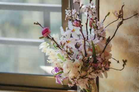 桜の季節が来るたびに思い出すことのできる1日の準備・打ち合わせ画像