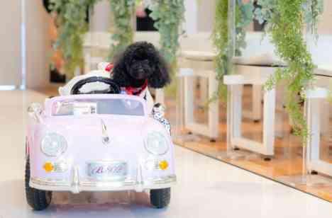 One and only weddingの挙式画像