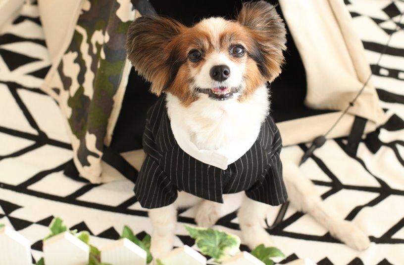 Shabby&Marineの演出画像