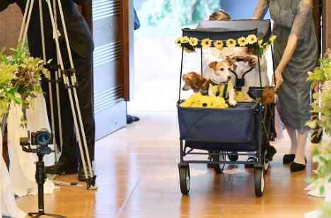 〈愛犬と一緒に♪〉ひまわりウエディングの挙式画像