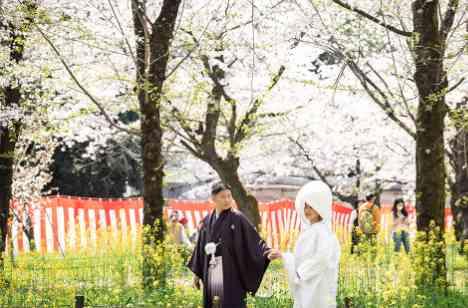 サクラサク - KYOTO WEDDING -の準備・打ち合わせ画像