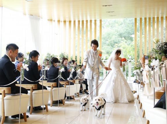 愛犬と一緒のウェディングが叶った結婚式！の挙式実例画像
