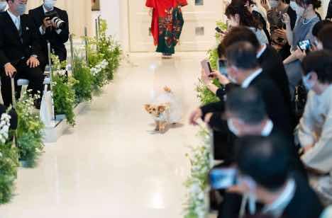 愛に包まれ感謝を贈るサプライズＷeddingの挙式画像