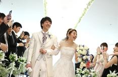 野球×カラフルな元気ウェディングの準備・打ち合わせ画像