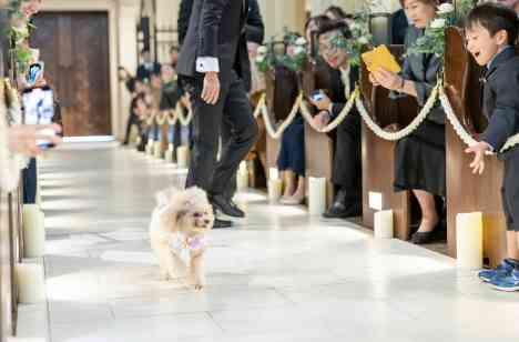 らしさ全開!わがままWedding!!の演出画像