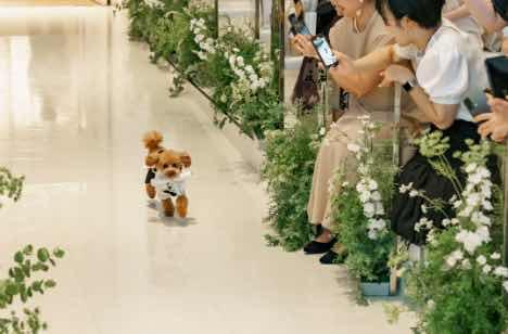 逆境を越え愛と決意が紡ぐ揺るぎない絆の結婚式の挙式画像