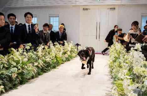 テーマ：スタイリッシュ＆ナチュラルなご結婚式の挙式画像
