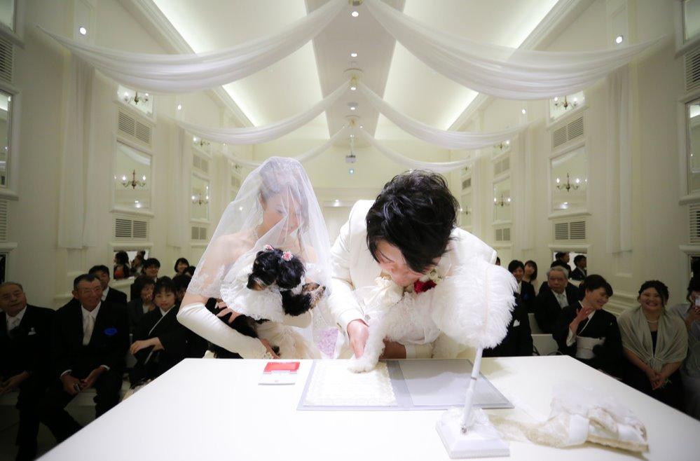ゲストと楽しむ結婚式の挙式画像