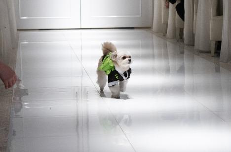 大好きなゲストの皆様と特別なひとときをの挙式画像