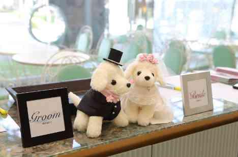 大切な愛犬とHAPPY WEDDING♪の準備・打ち合わせ画像