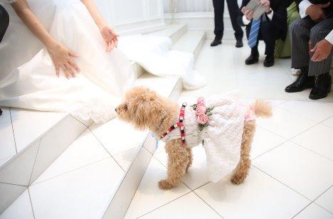 with WAN weddingの挙式画像