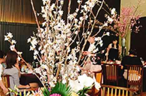 満開の桜と美食でお花見パーティ。の演出画像