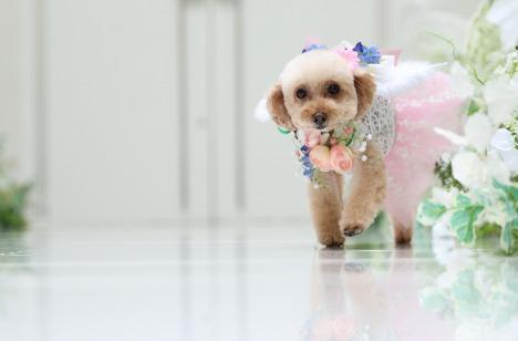 かわいいパンダ号でみんなでレッツパーティ♪の挙式画像