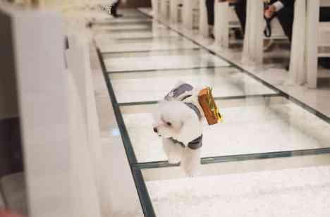 どうぶつの森の世界観を再現した結婚式！の挙式画像