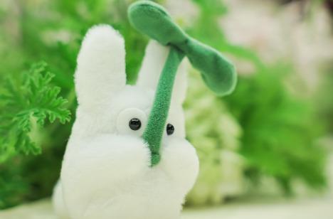 理想のGhibli weddingにの披露宴画像
