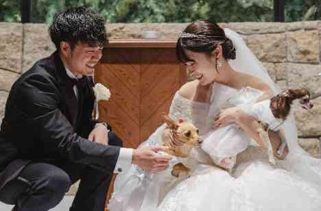 たいせつな皆さまと、愛犬たちと過ごす特別な1日の挙式画像